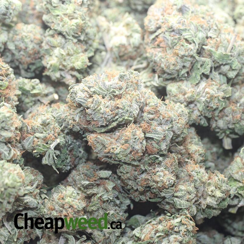 Tony’s Bruce Banner - Image 3