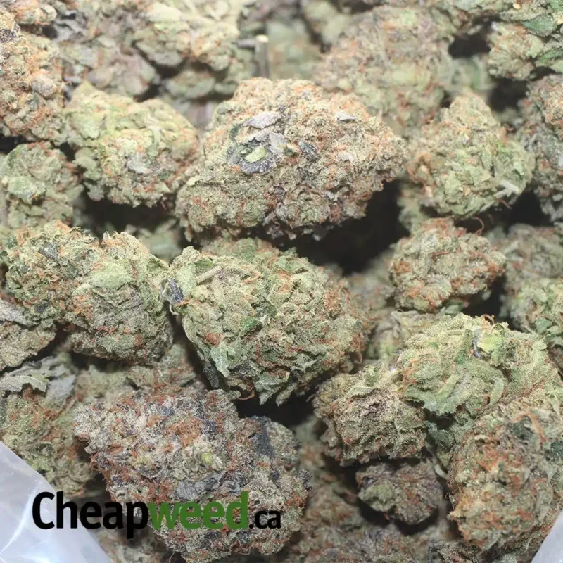 Tony’s Death Bubba - Image 3