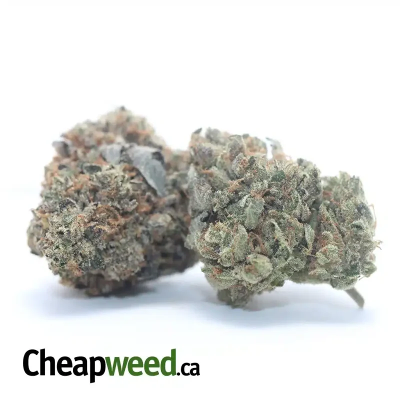 Tony’s Death Bubba - Image 2