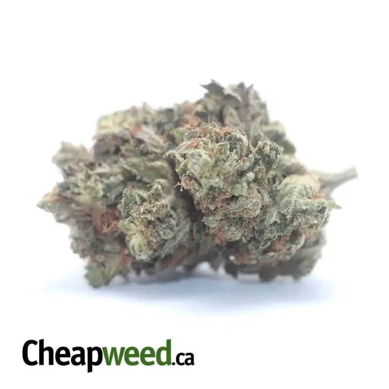 Tony’s MK Ultra