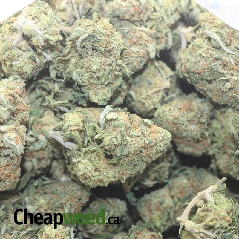 Tony’s Nuken - Image 3