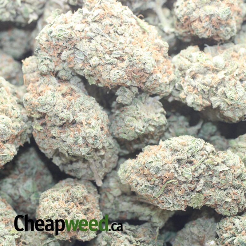 Tony’s Pineapple Express - Image 3