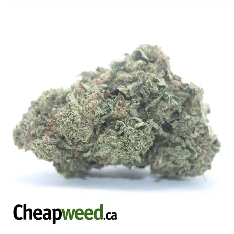 Tony’s Pink Kush
