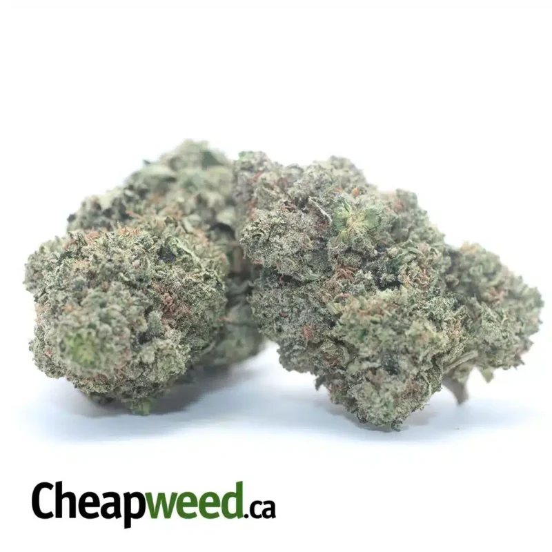 Tony’s Pink Kush - Image 2