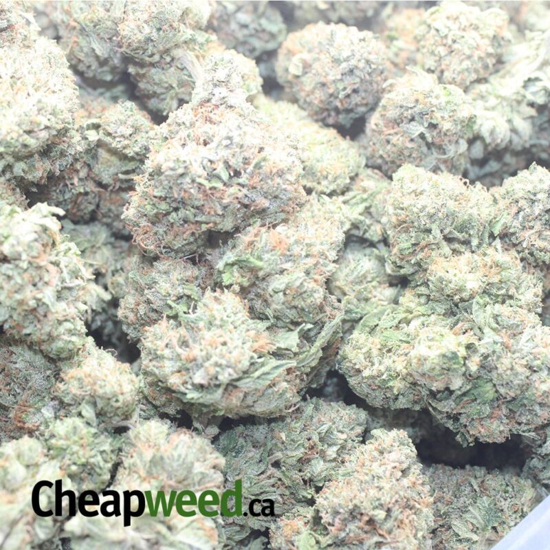 Tony’s Rockstar Kush - Image 3