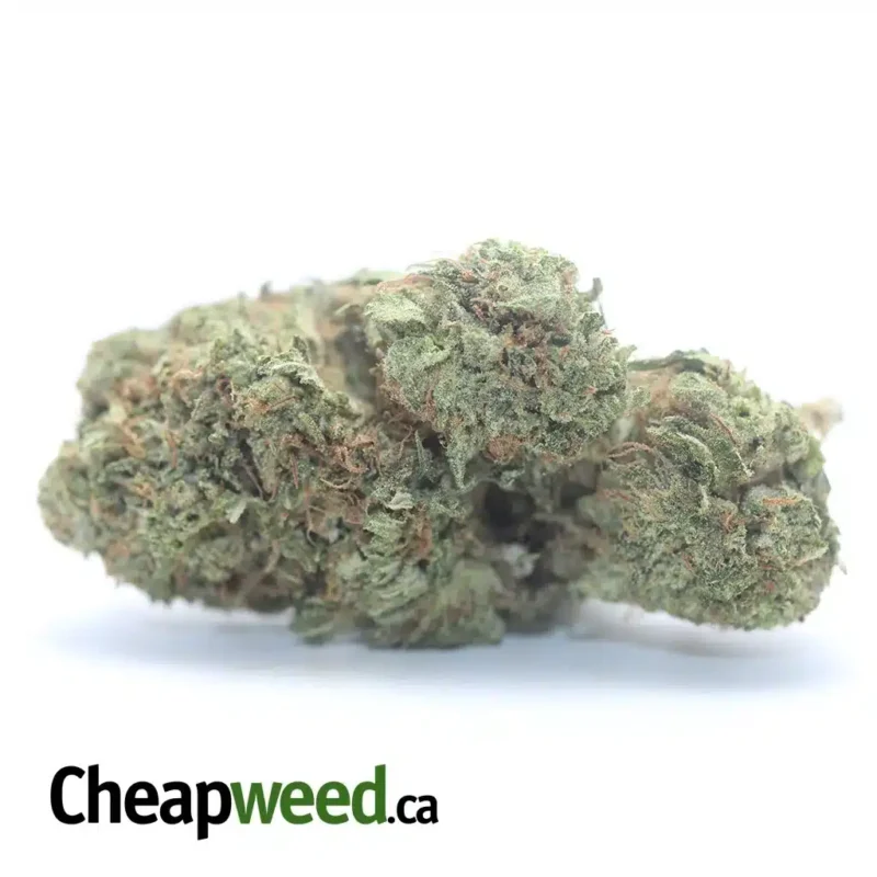 Tony’s Tuna Kush