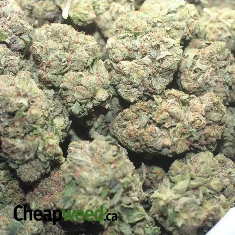 Trainwreck - Image 3