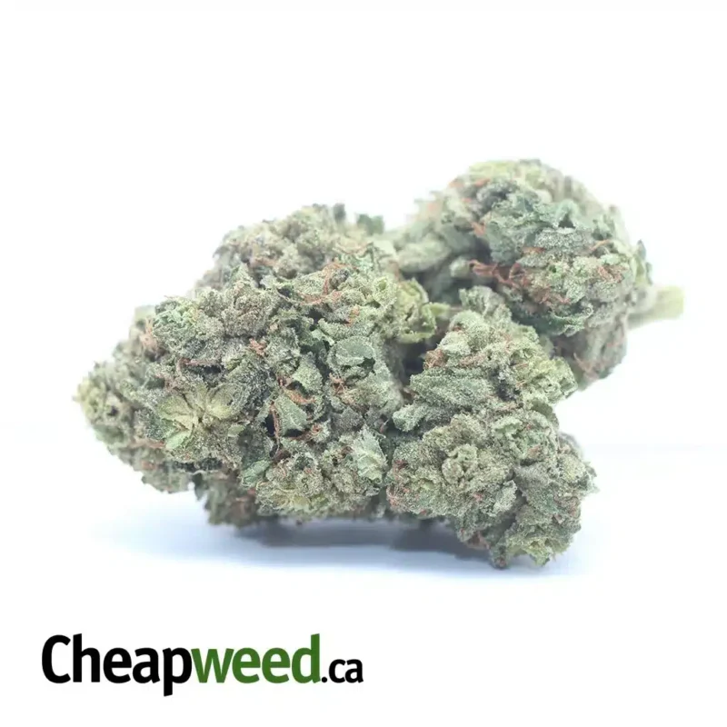 Trainwreck
