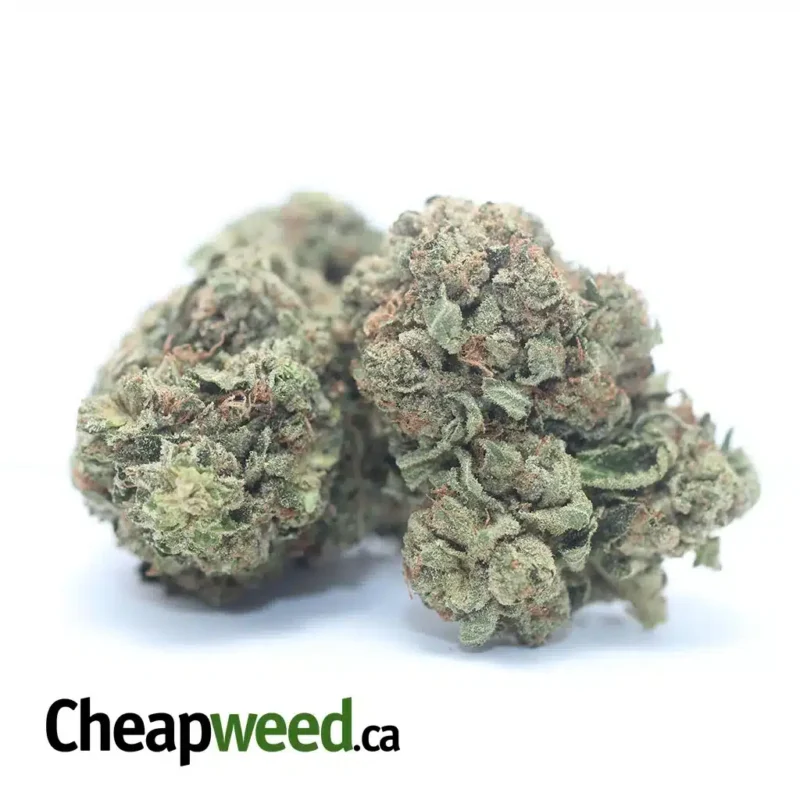 Trainwreck - Image 2