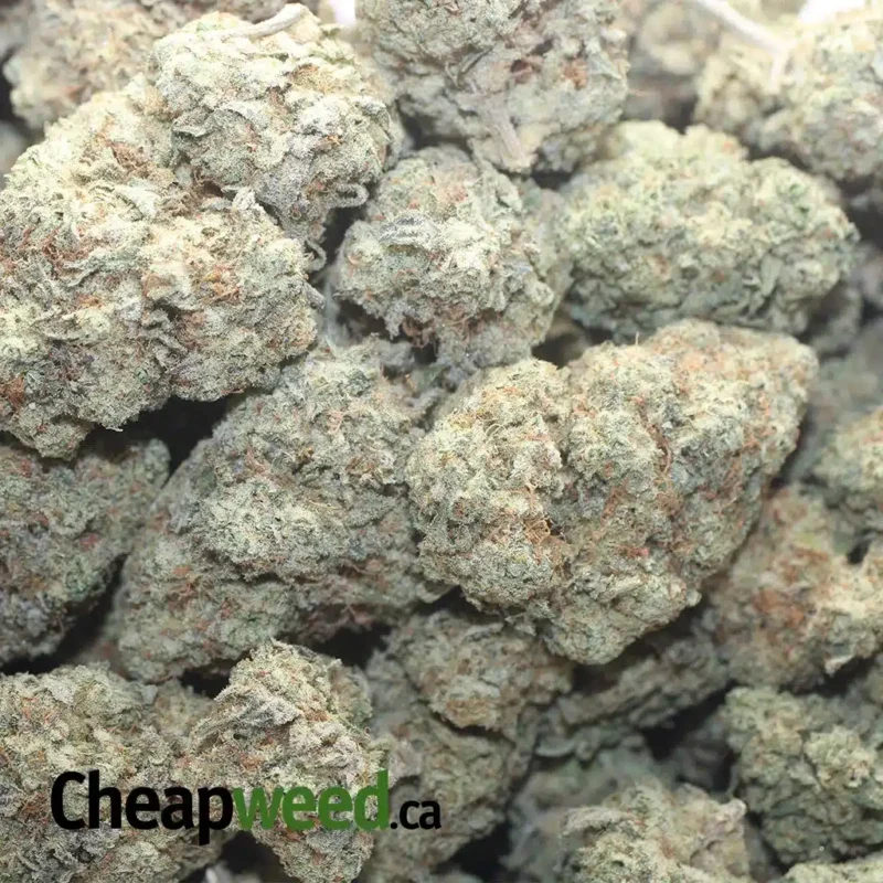 Triple OG - Image 3