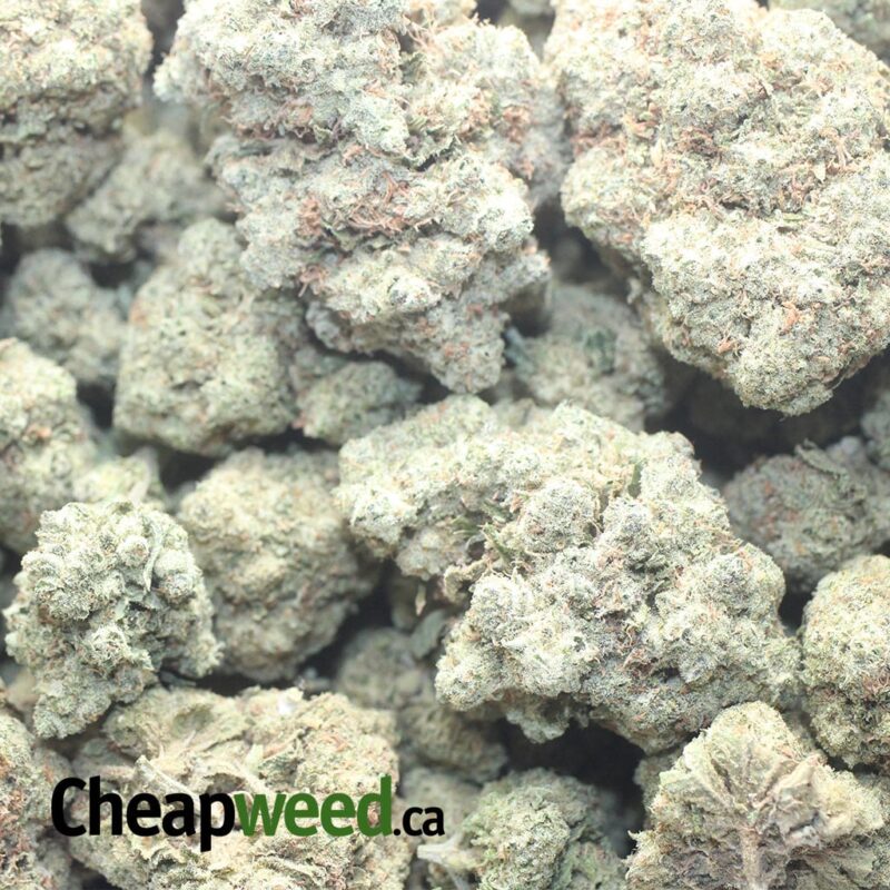 $ 50 Oz – Tropical Runtz - Image 3