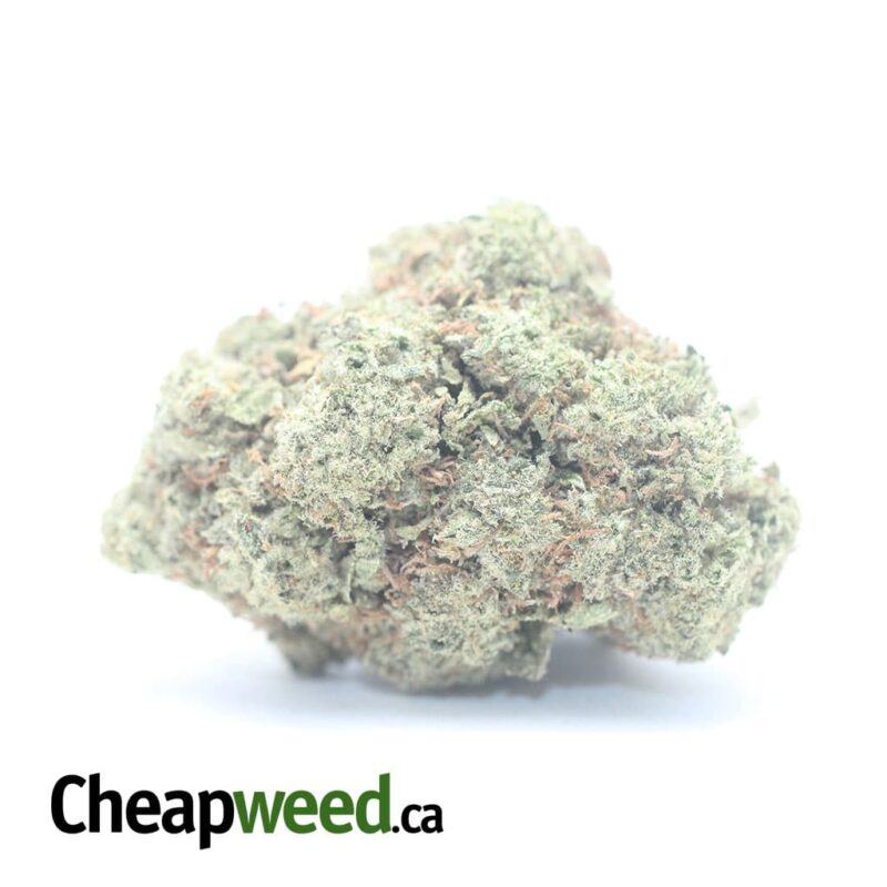 $ 50 Oz – Tropical Runtz