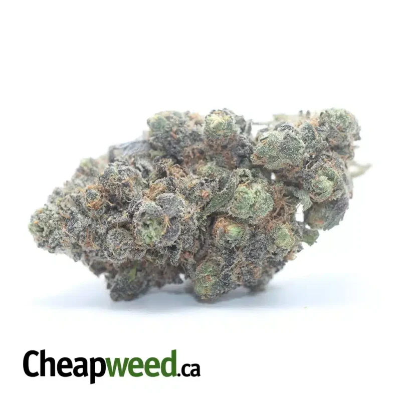 Tropicana Cookies