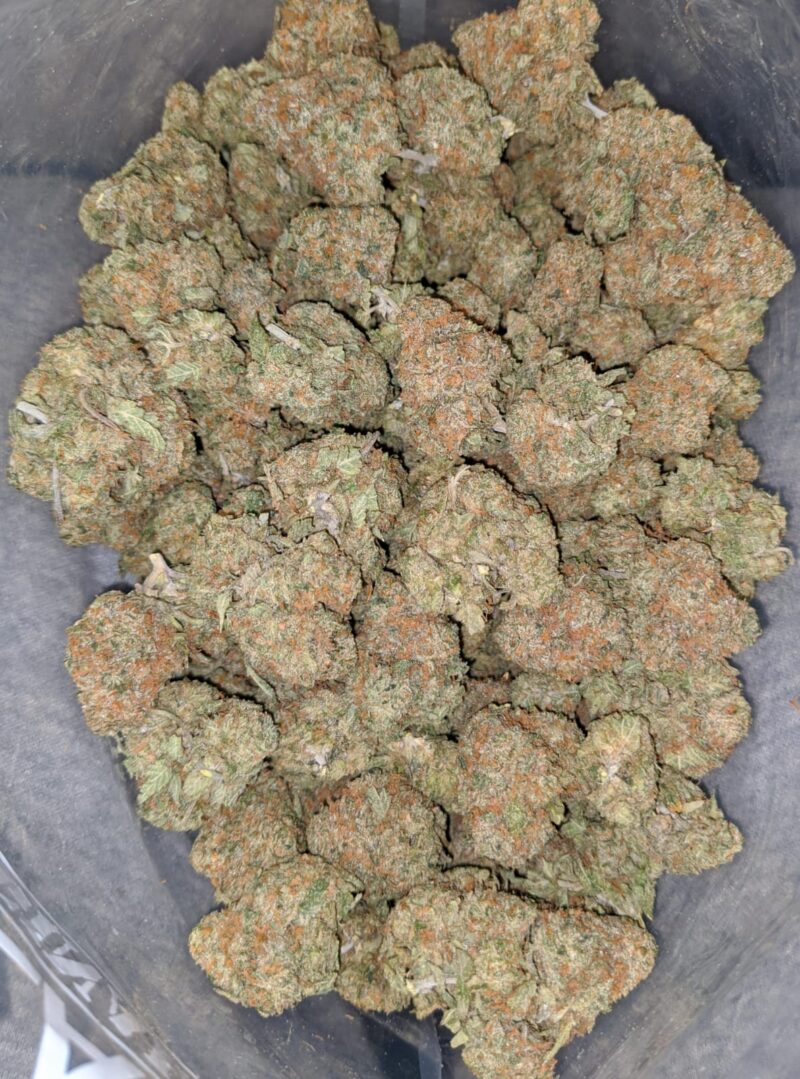 Trunk Funk