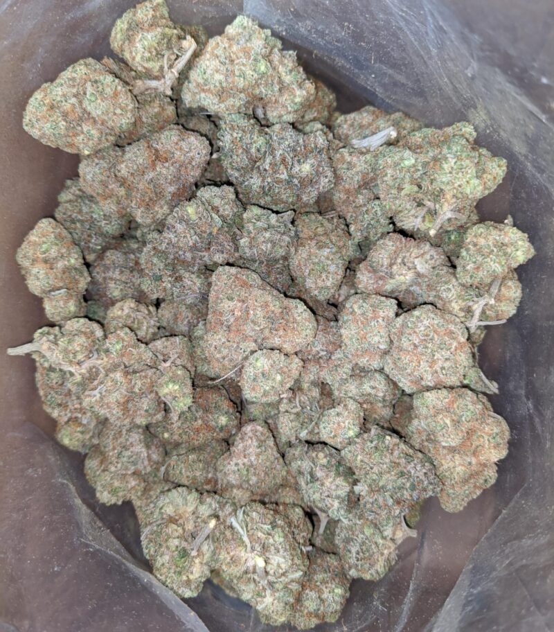 Tangerine Dream - Image 4