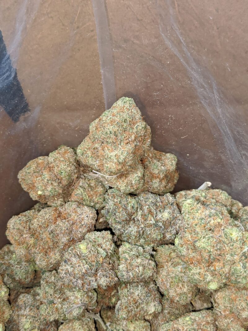 Tangerine Dream - Image 7