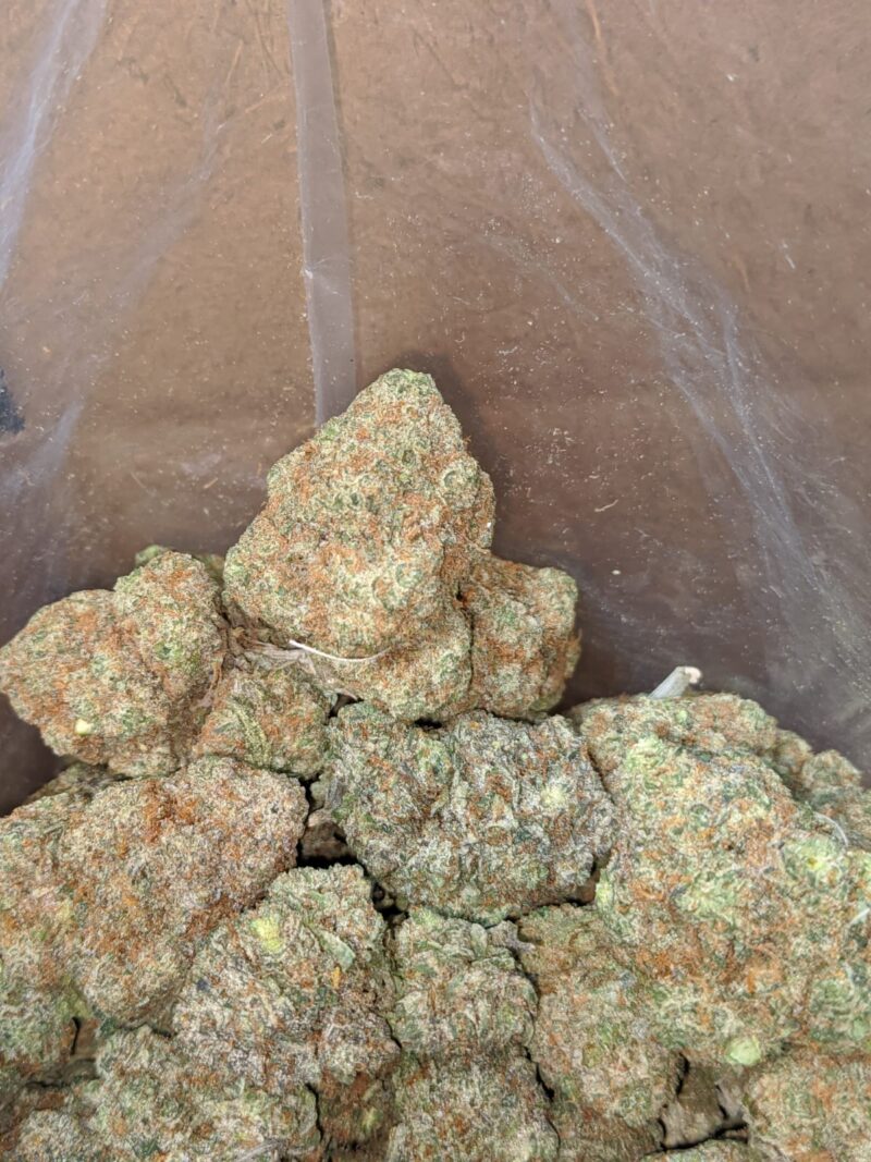 Tangerine Dream - Image 6