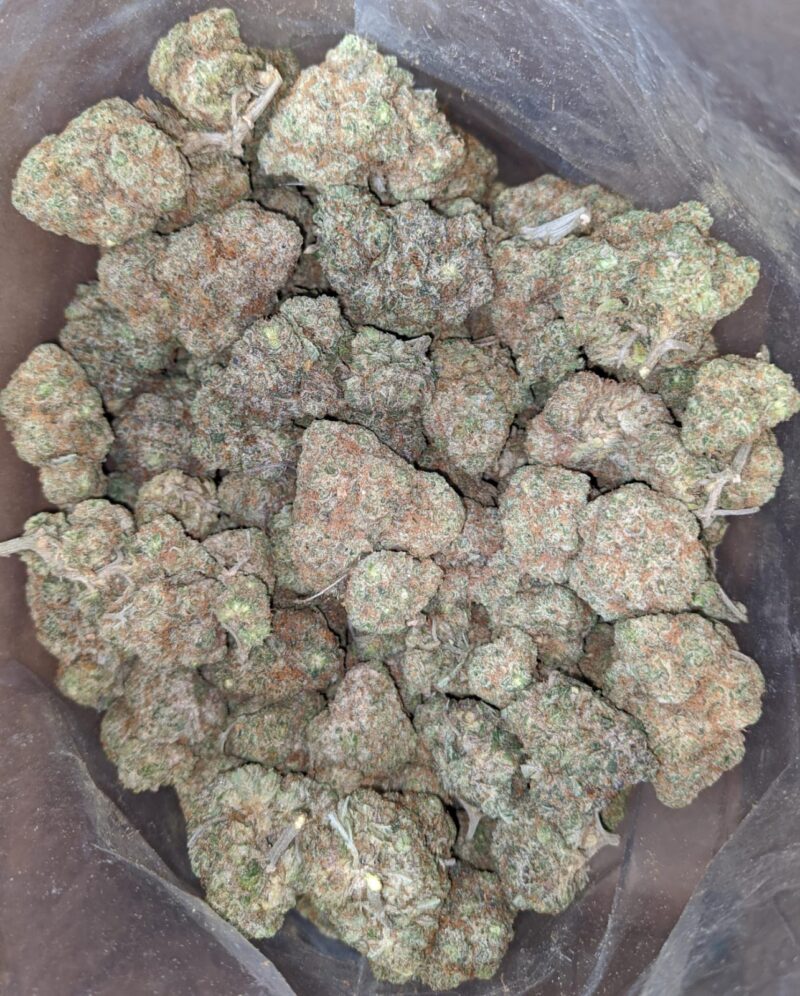 Tangerine Dream - Image 5