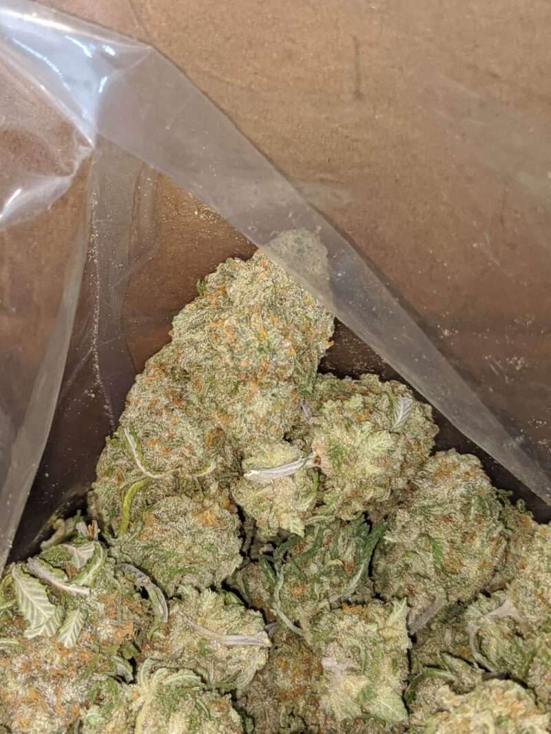 $ 47 Oz – Thunderfuck - Image 5