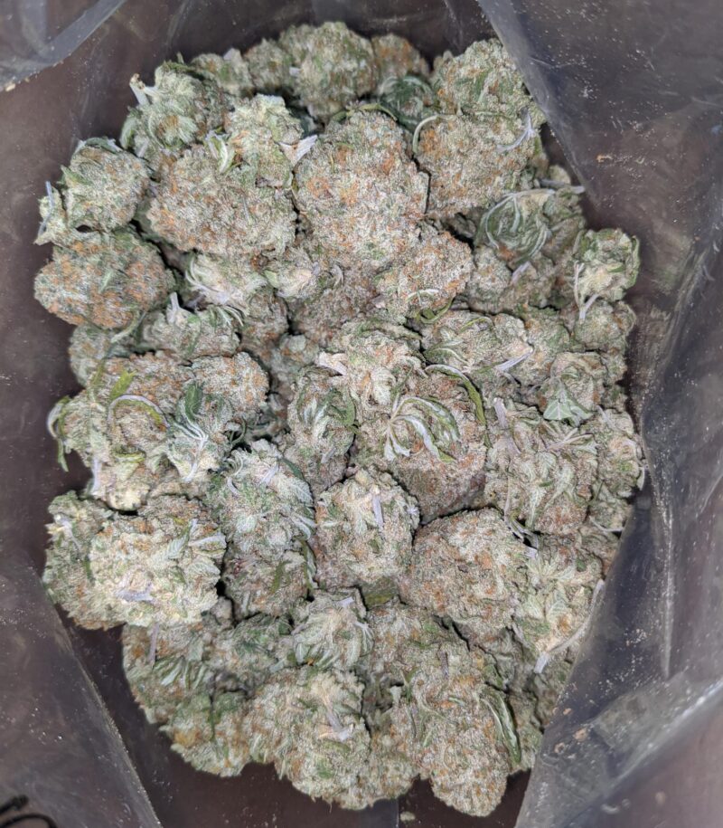 $ 47 Oz – Thunderfuck - Image 7