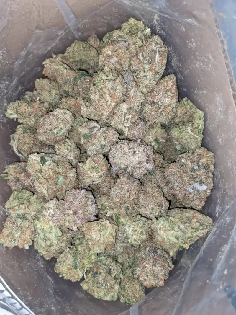 Tony’s Death Bubba - Image 6