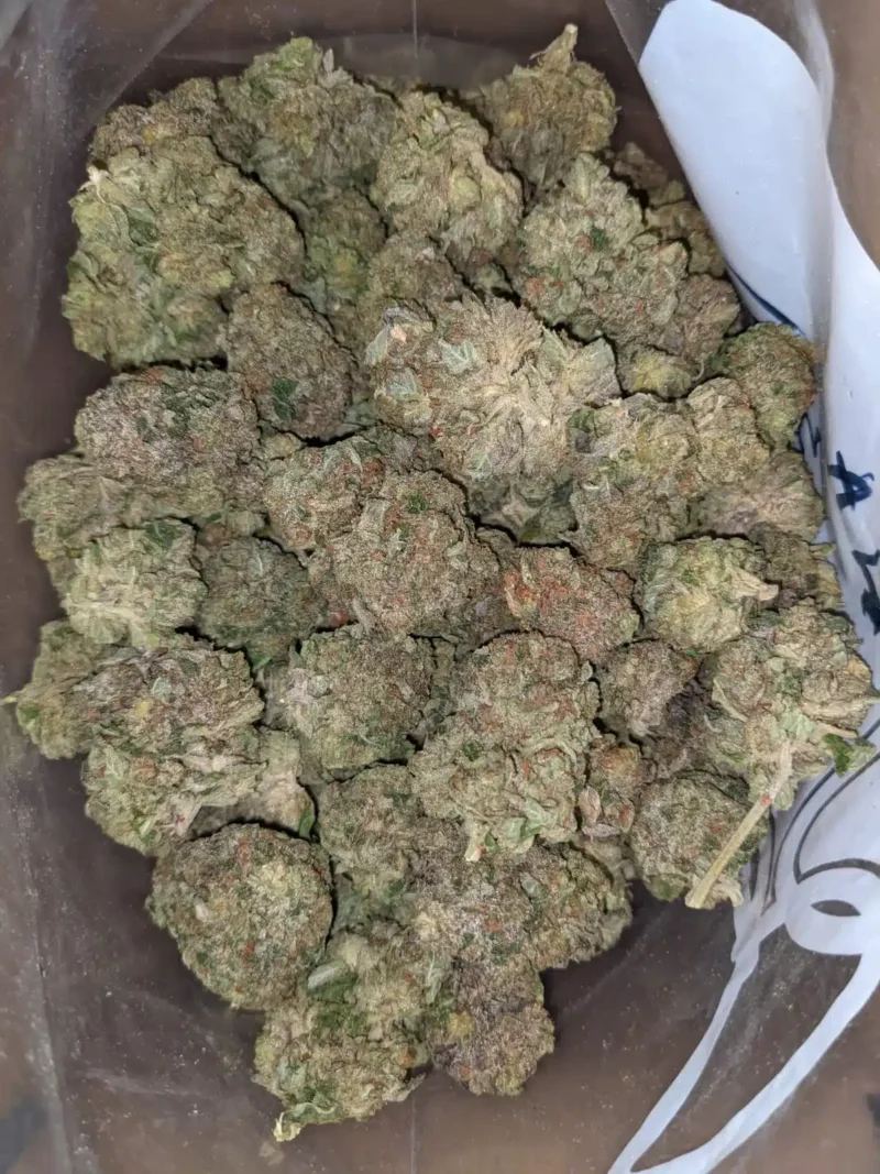 Trainwreck - Image 5