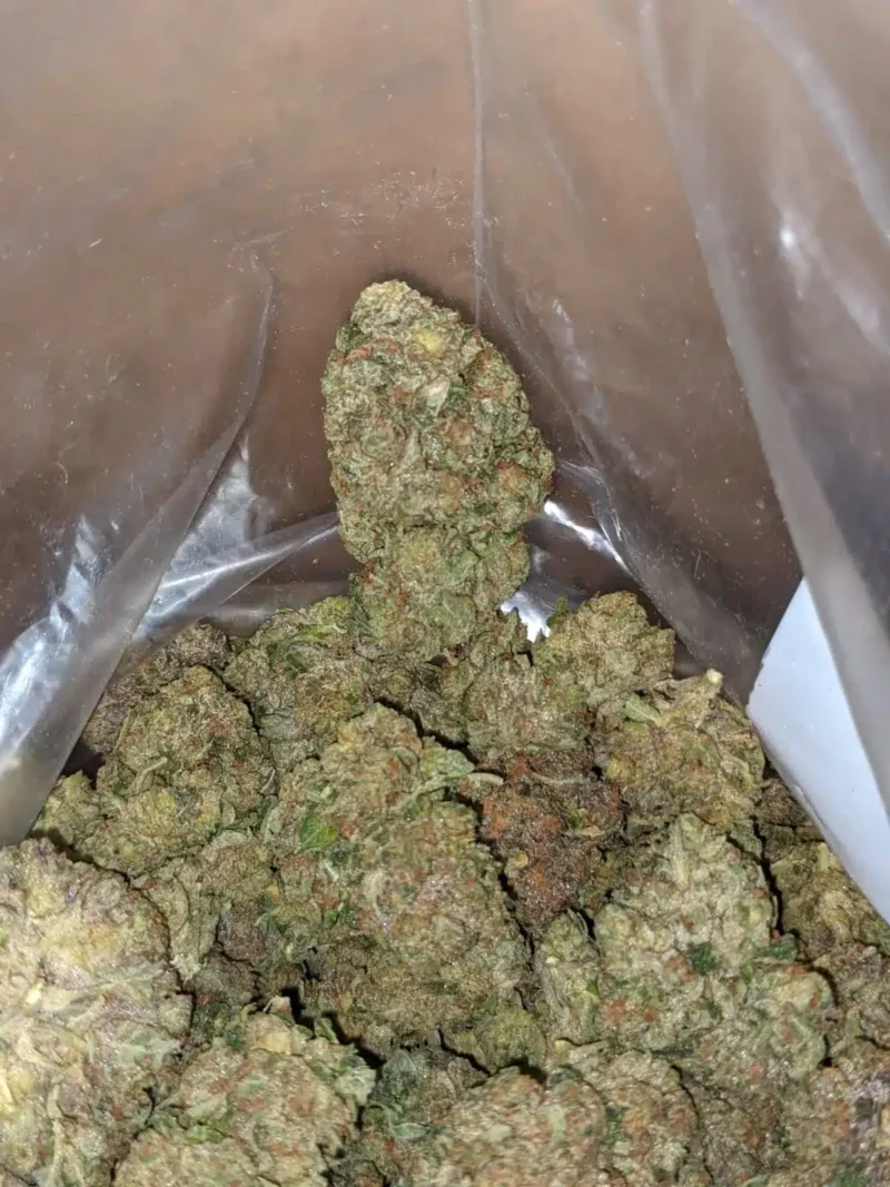 Trainwreck - Image 7