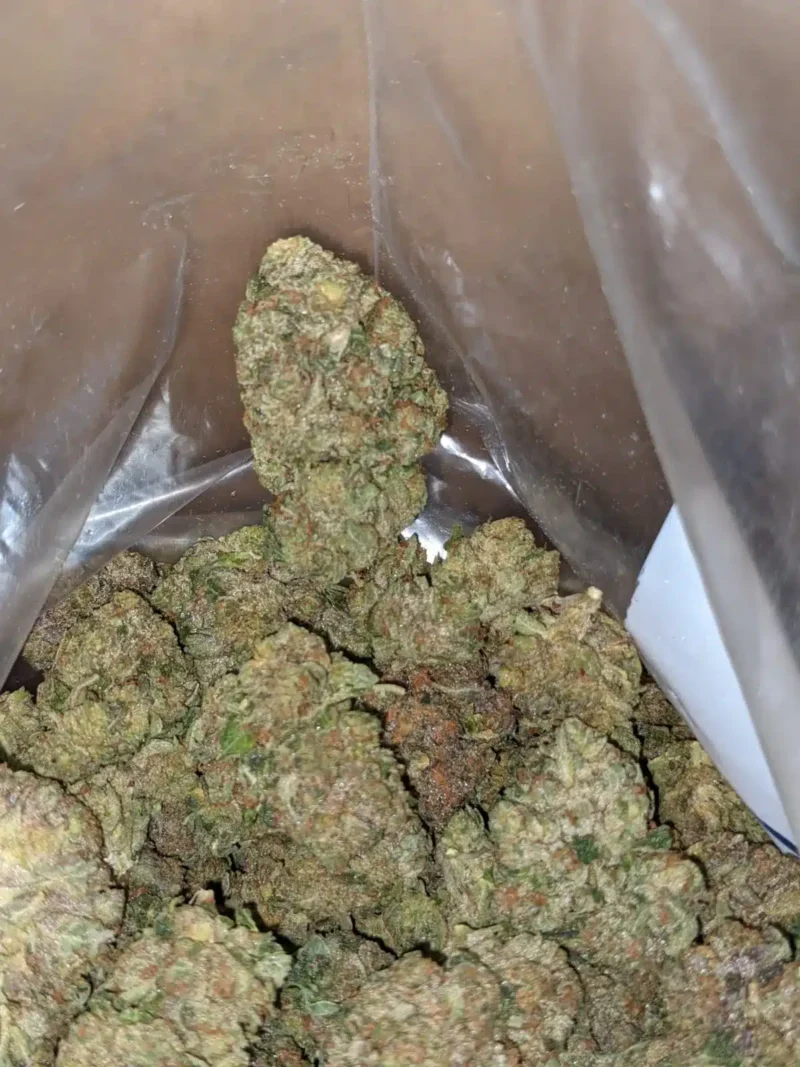 Trainwreck - Image 6