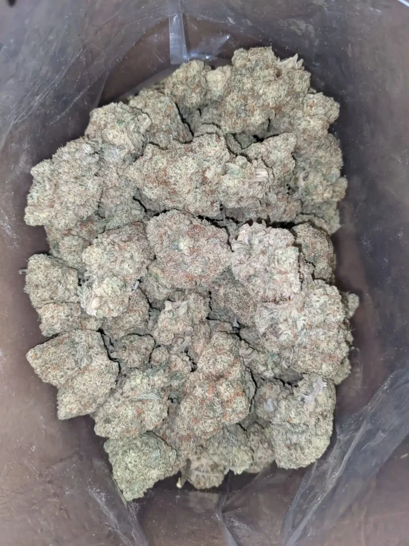 Triple OG - Image 5
