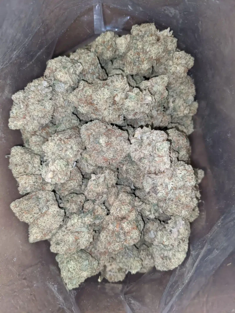 Triple OG - Image 7