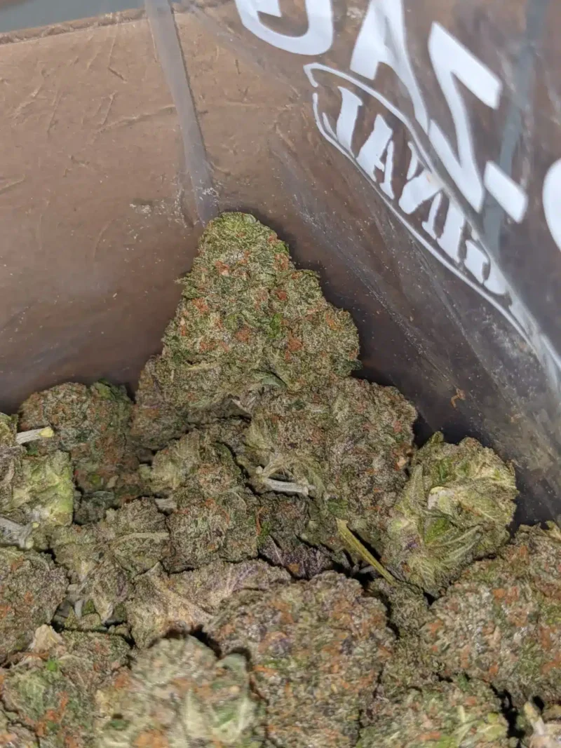 Tropical Runtz - Image 6