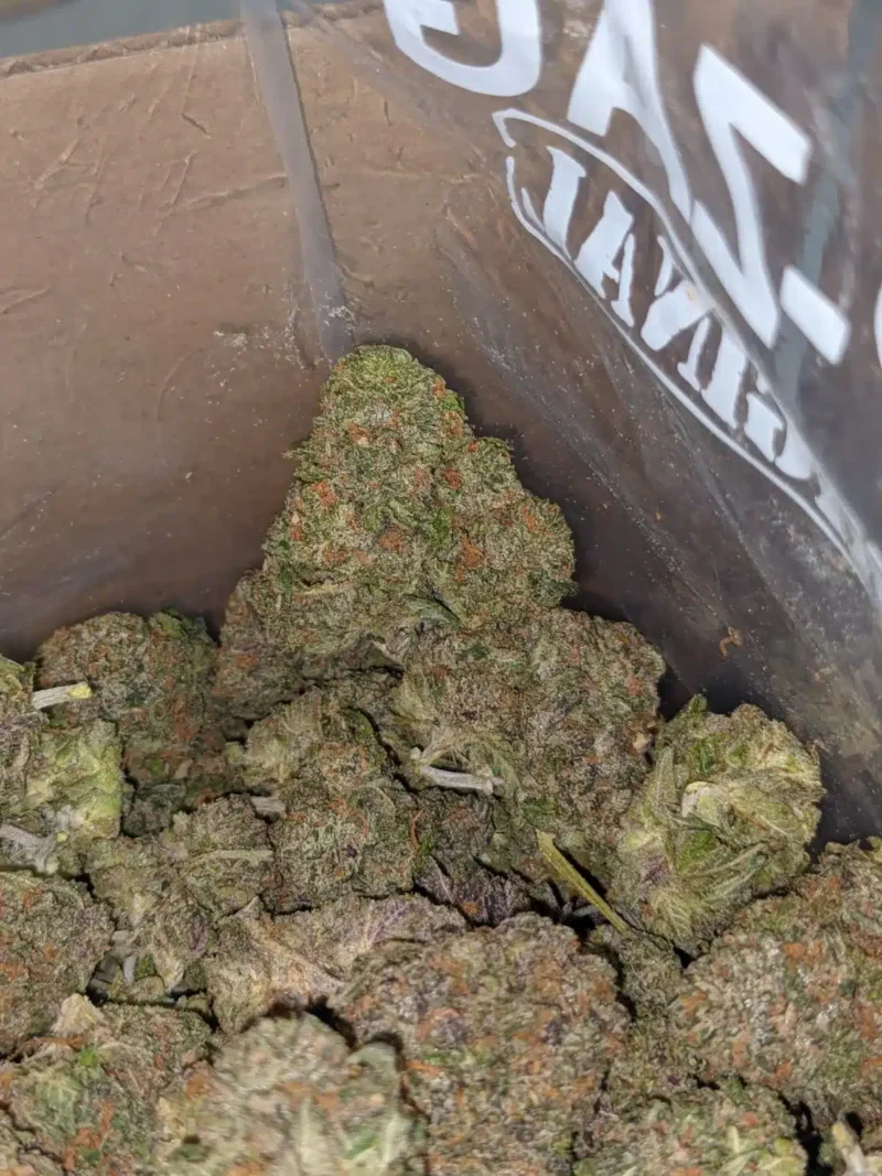 Tropical Runtz - Image 7