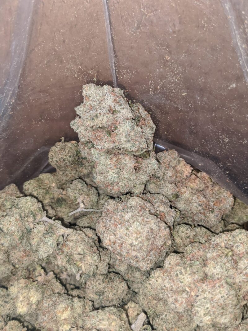 $ 50 Oz – Tropical Runtz - Image 6