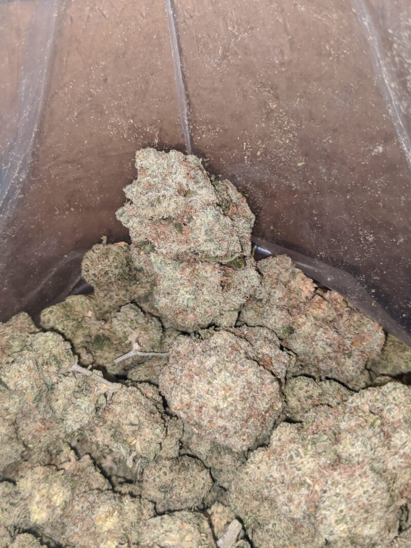 $ 50 Oz – Tropical Runtz - Image 5
