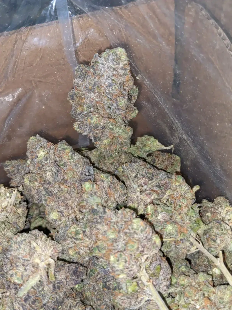 Tropicana Cookies - Image 4