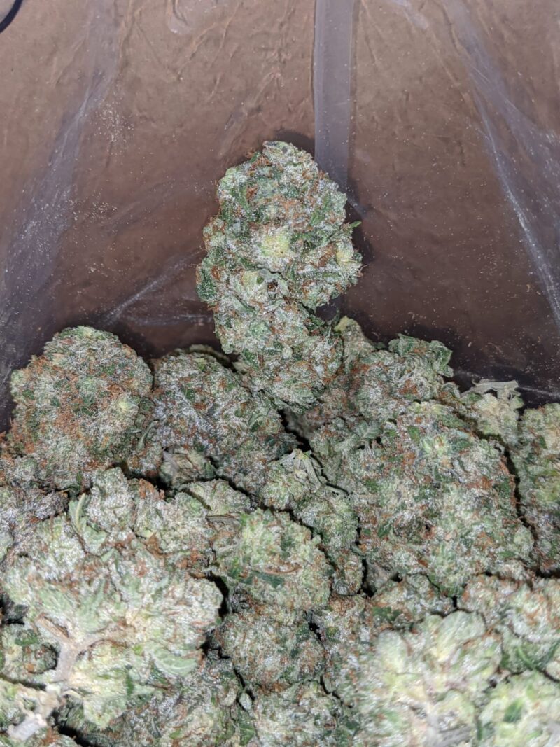 Tuna Kush - Image 4