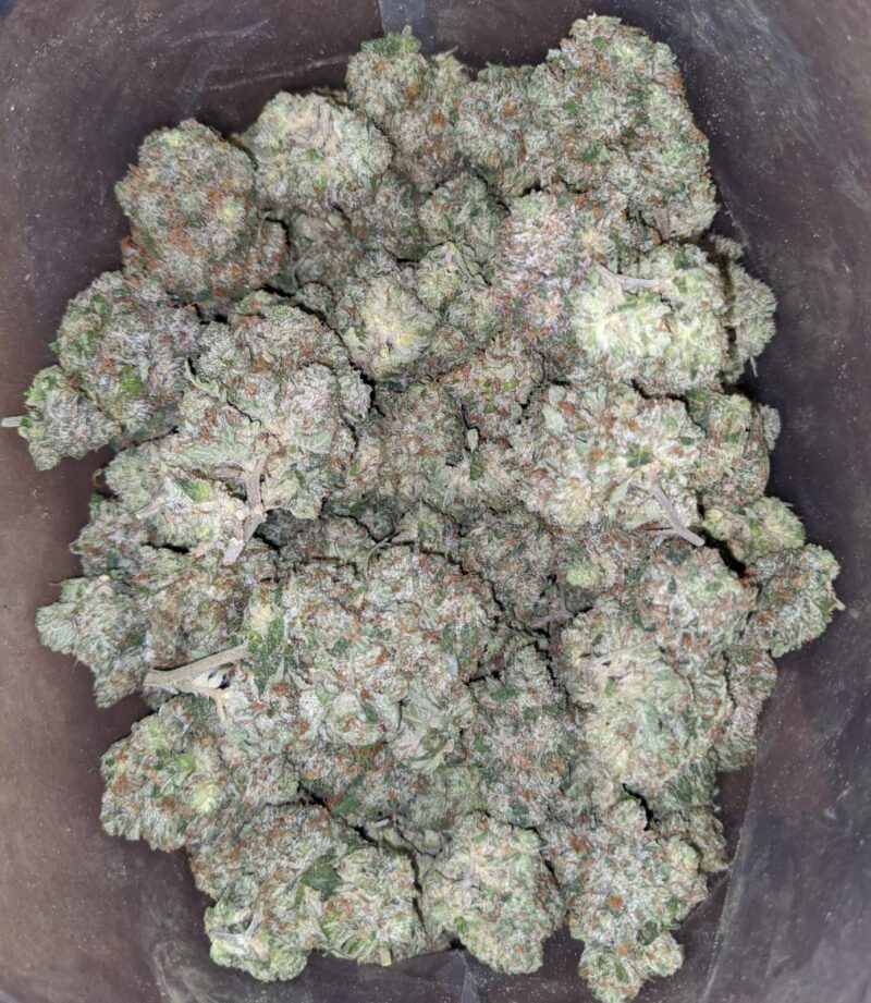 Tuna Kush - Image 6