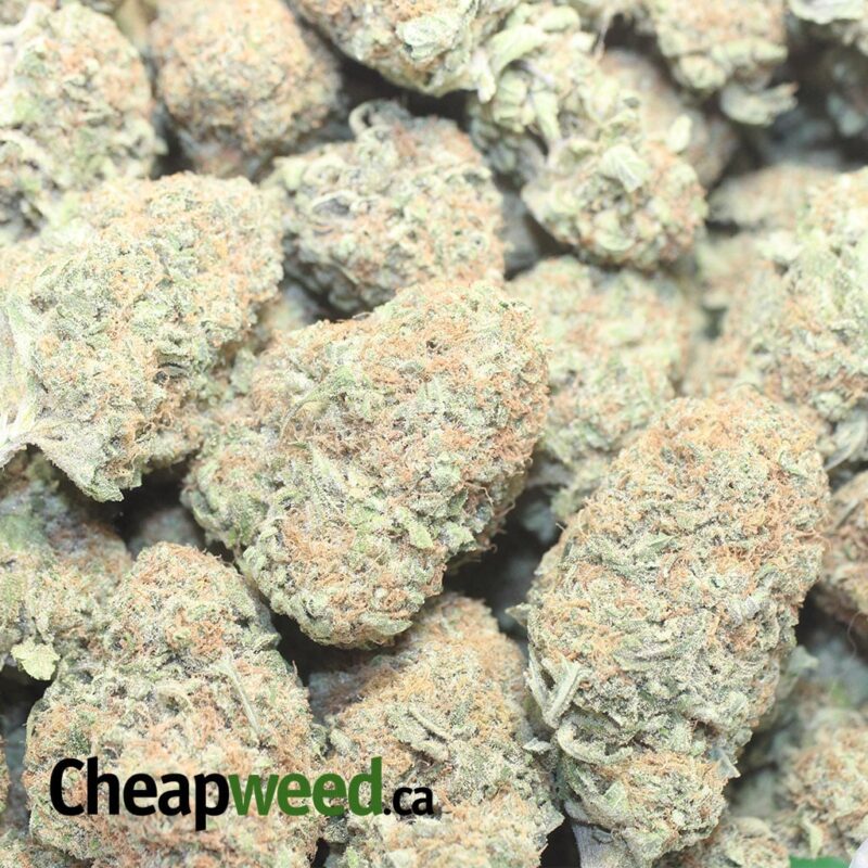 UK Cheese - Image 3
