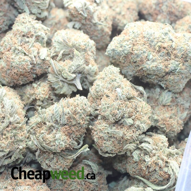 UK Cheese - Image 3