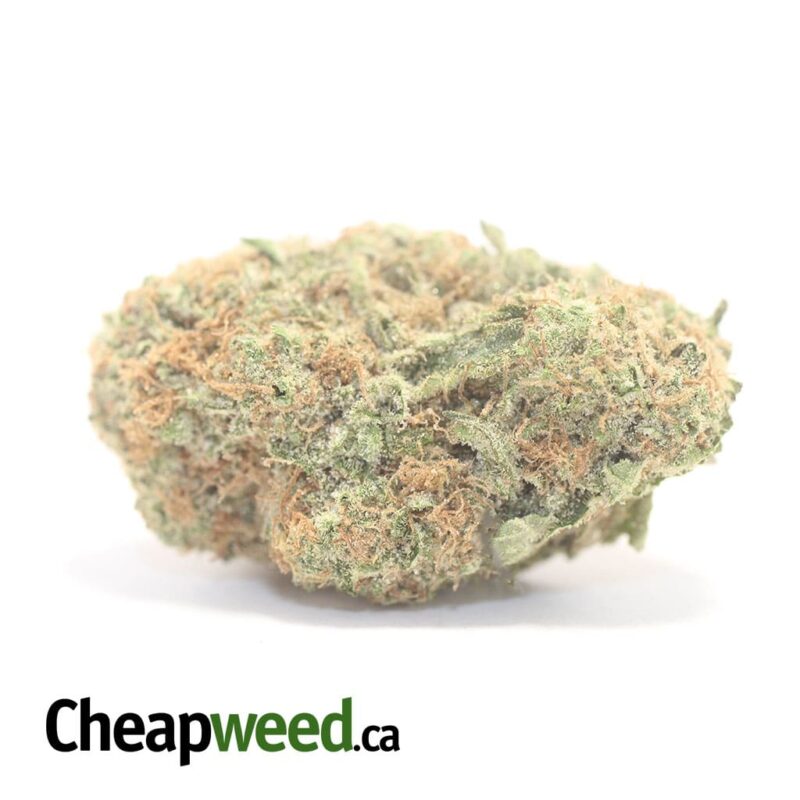 UK Cheese