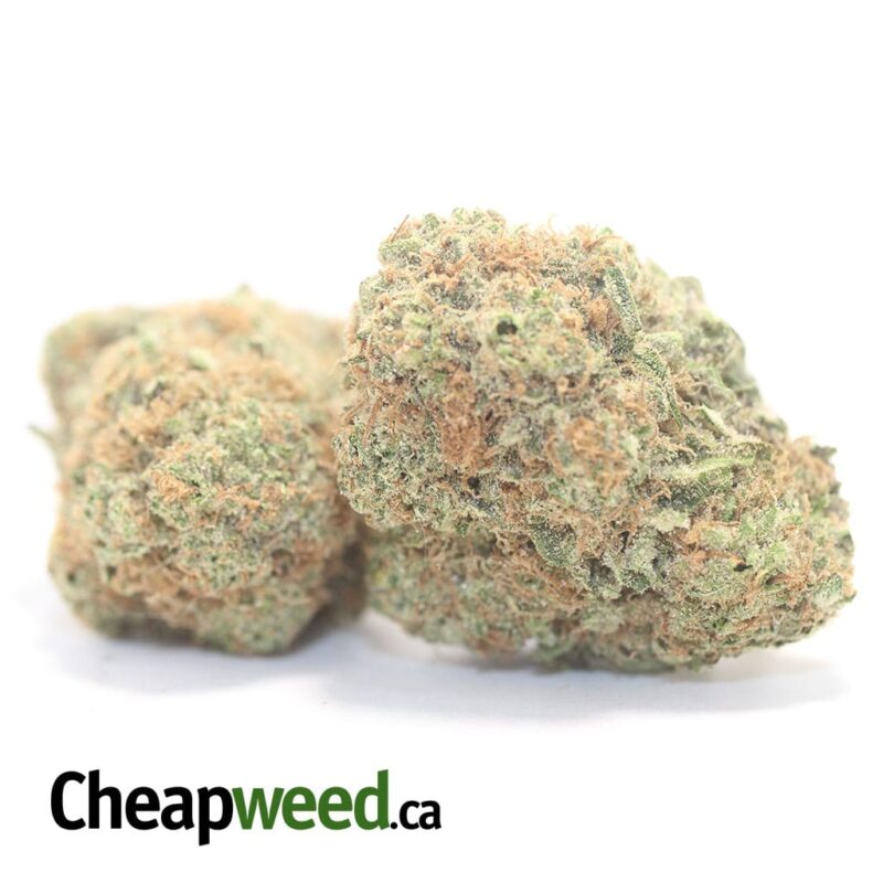 UK Cheese - Image 2