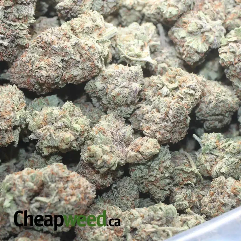 Ultra Sour - Image 3
