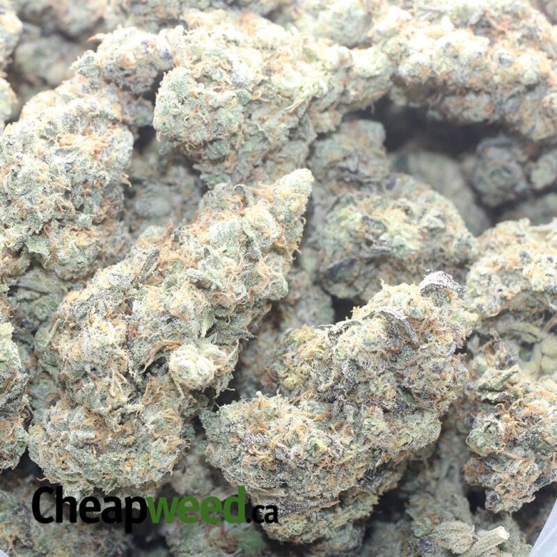 Unicorn Poop - Image 3