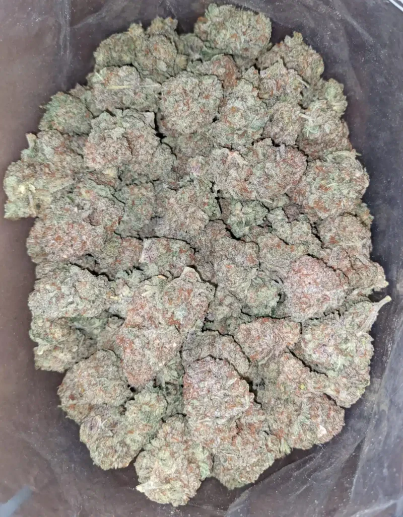 Ultra Sour - Image 5