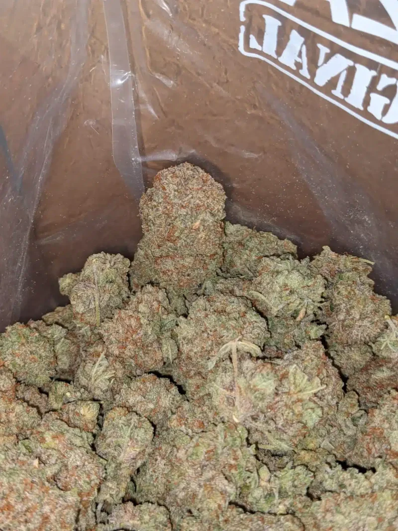 Ultra Sour - Image 7