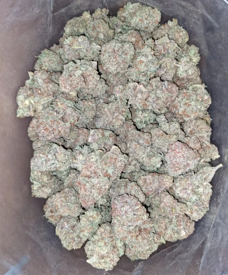Ultra Sour - Image 6