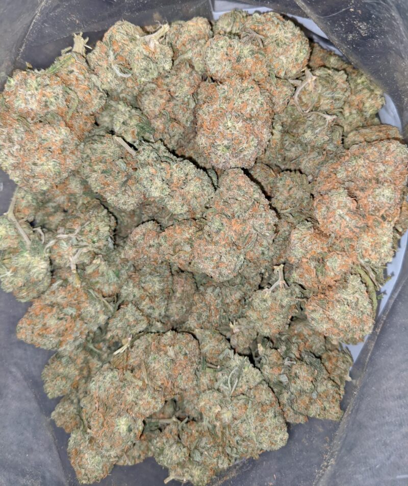 Vanilla Kush - Image 5