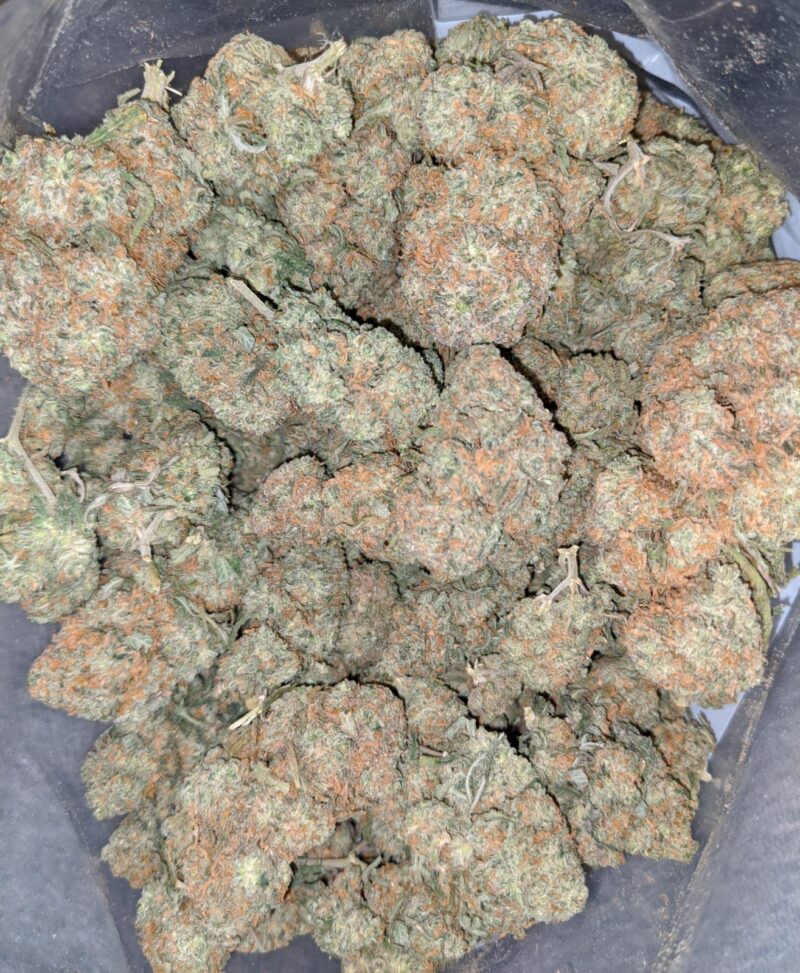 Vanilla Kush