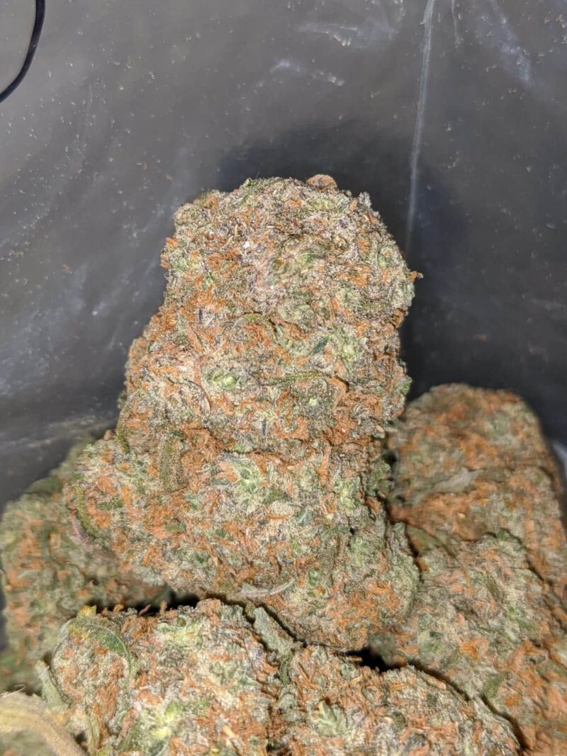 Vanilla Kush - Image 2