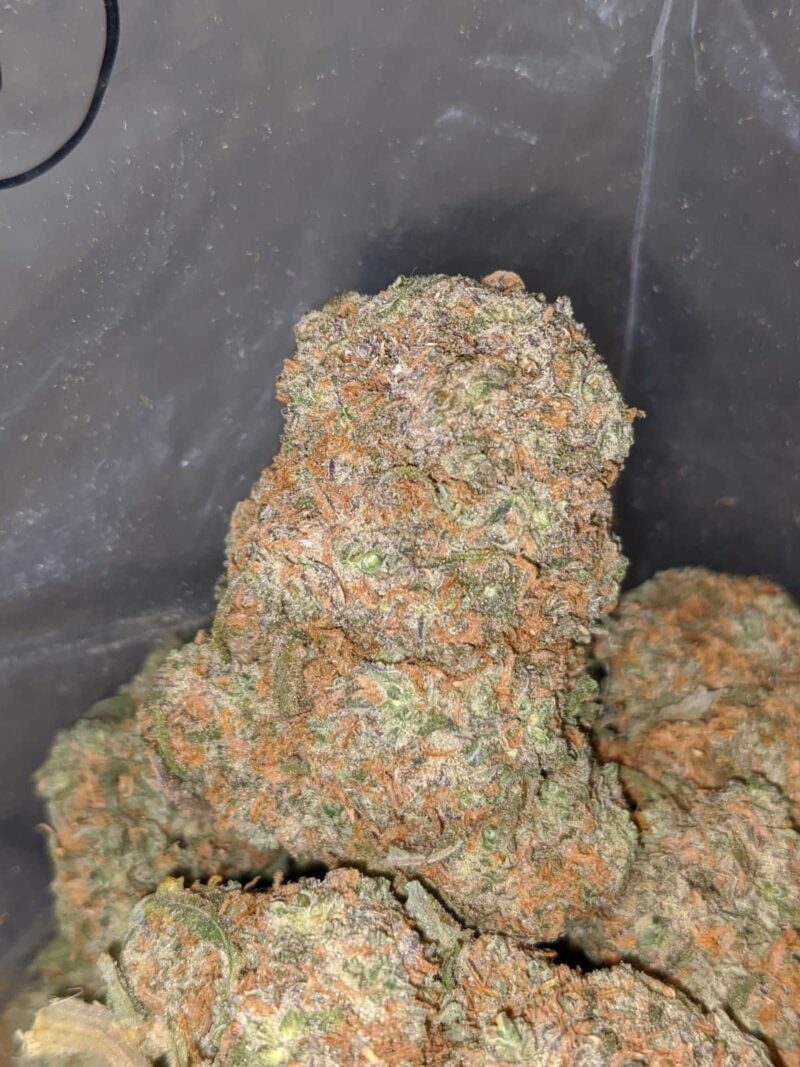 Vanilla Kush - Image 4